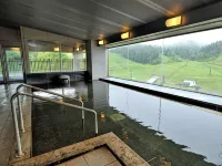 New Greenpia Tsunan - Hot Springs