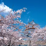 موجاميا ريوكان فنادق في شيرويشي