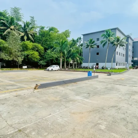 Ginger Trivandrum