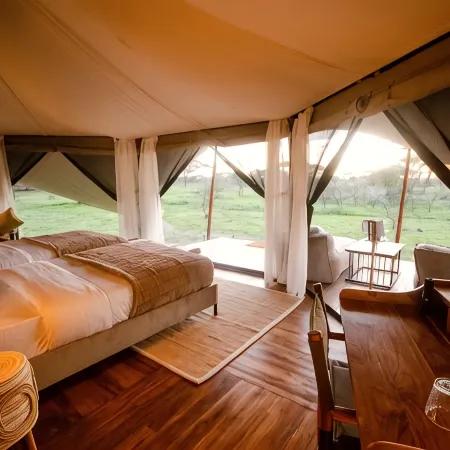 Twende Africa Tours