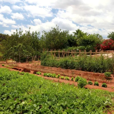 Can Lluc Boutique Country Hotel & Villas, a Member of Beyond Green