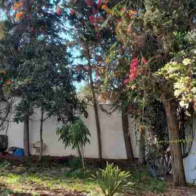 Grand Appartement Paisible, 3 Chambres, vue sur Jardin, Central à Rabat Hotel Exterior