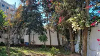Grand Appartement Paisible, 3 Chambres, vue sur Jardin, Central à Rabat