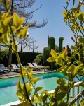 Le Safari Hotel Restaurant - Pool