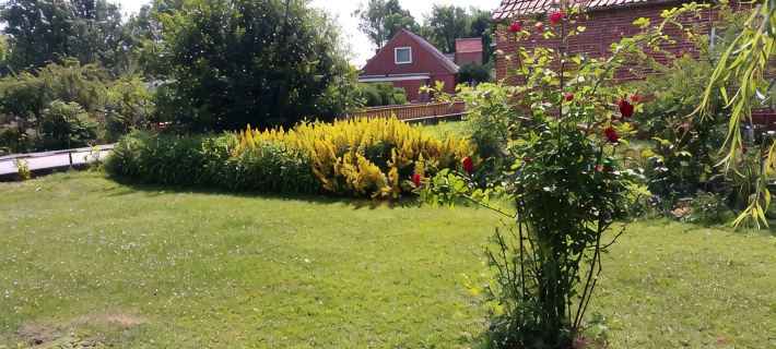 Apartment -Vogelflug- in the house at the pond pet friendly and cozy Hotels in Fehmarn