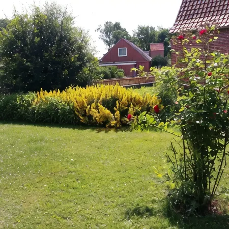 Apartment -Vogelflug- in the house at the pond pet friendly and cozy