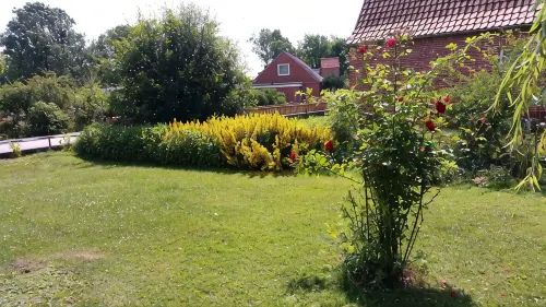 Apartment -Vogelflug- in the house at the pond pet friendly and cozy