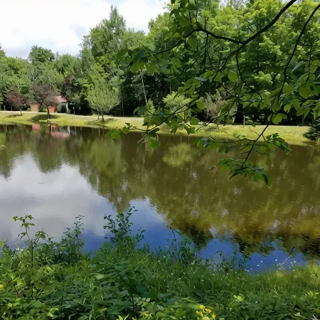 PET-FRIENDLY - Twilight Cabin a Unique Waterfront Log Cabin