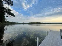 Tiny cabin in towering pines, with lake view. Pets accepted!