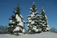 Studio 3 BEDS-SLP 3. Downtown Windham. Next to the Ski Resort. Close to Hunter