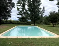 Bloomingdale Honeymoon Cabin Vintage Retreat with Mountain Views