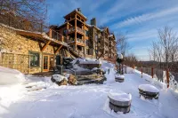 Ski in / Ski Out, Spa, Fireplace, Parking, View - Bathtub