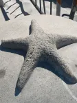 Beautiful Home, Pet Friendly & Close to Beaches! - บังกะโล