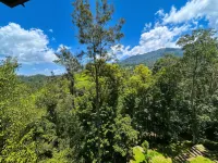 Flora Vythiri Resort - Mountain view