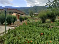 Nirvana Lodge Hotels in 
