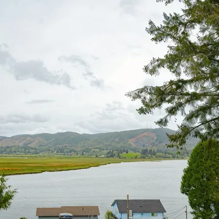 Vast Views of the Willapa River