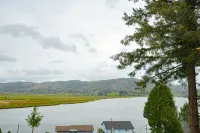 Vast Views of the Willapa River
