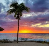 Oceanfront Luxury in Cozumel  - Costa A3 – Late Summer Special Rates & Promos
