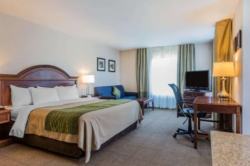Comfort Inn & Suites - WLAN