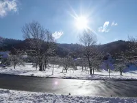 Landgasthof Grüner Baum - parking