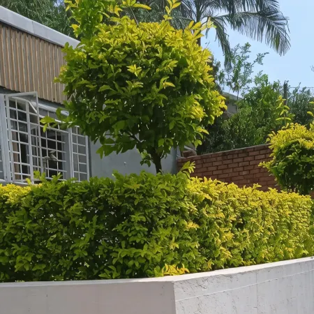 Kaste Guesthouse Tzaneen
