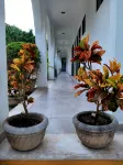 Departamentos X`Kanlol - Wifi