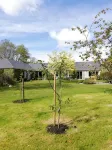 Applecroft House - บีแอนด์บี