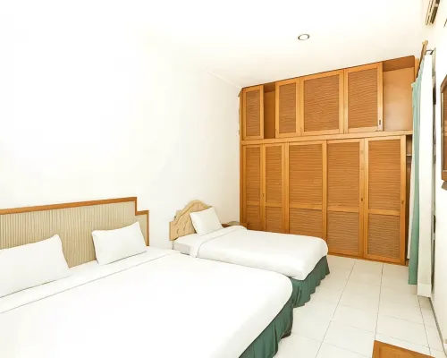  Photos