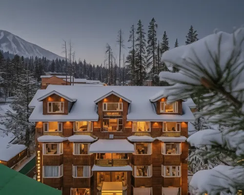 Hotel Pine Spring Gulmarg Hotels in Gulmarg