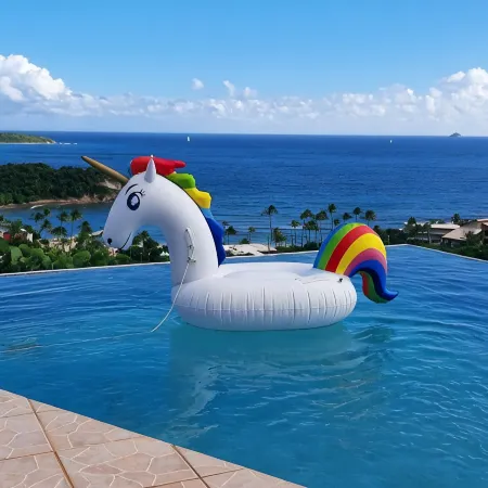 4bd 4.5 baths House and two private apartments. Beautiful views! Self check in!