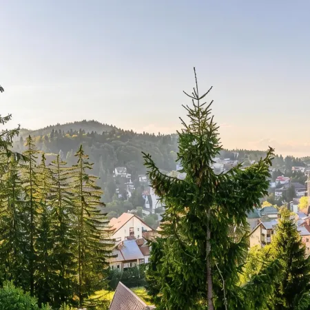 Pensiunea Hilltop