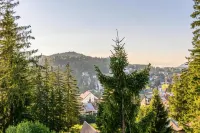 Pensiunea Hilltop - Mountain view