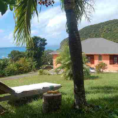 Up there in the garden - Villa with sea and mountain views - Deshaies Hotel Exterior