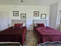 Great views and walking distance to the boat ramp at Lake Seminole!! - WiFi