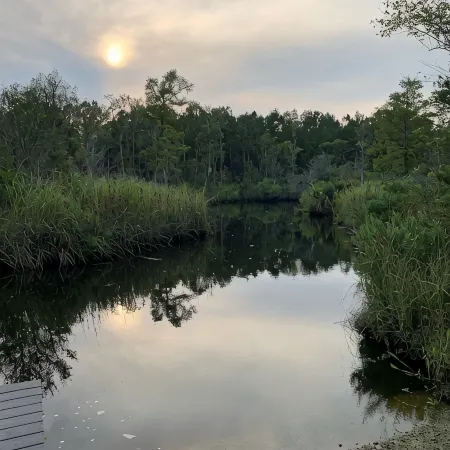 Cabin on Queens Creek