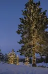 Grumpy Grizzly Pet friendly w/ hot tub - 2-Star