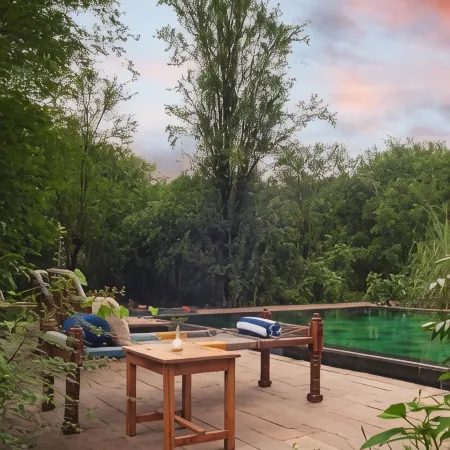 Trees N Tigers Luxury Wildlife Lodge