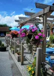 The Railway Inn Westerfield - bar