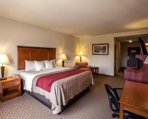 Comfort Inn & Suites Hotels in Rogersville