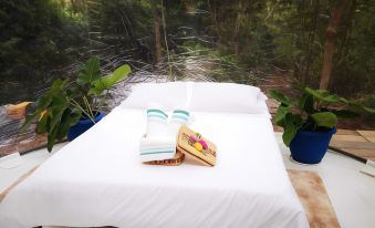 Glamping Amazonas