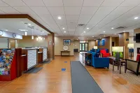 Comfort Inn Binghamton I-81 Hotels in Binghamton