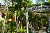 Kiayazo Homestay