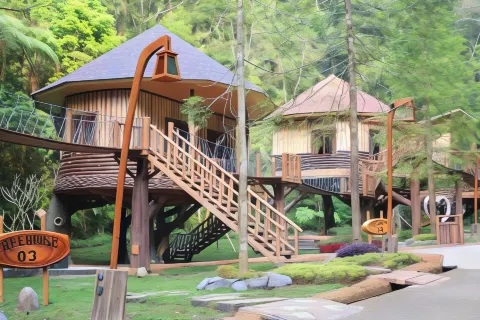 Safari Resort