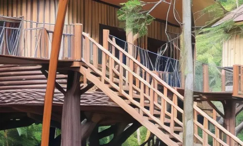 Safari Resort