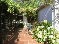 Vine Guesthouse