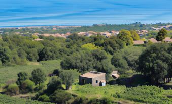 Monaci Delle Terre Nere