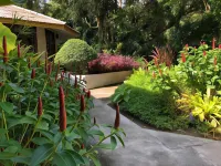 Likita Resort Hotels near Mae Ram Phueng Beach