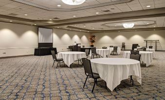 Best Western Rochester Hotel Mayo Clinic Area/St. Marys