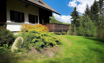 Very Spacious, Detached Holiday Home in Carinthia Near Skiing & Lakes