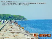 Maruhei Minshuku